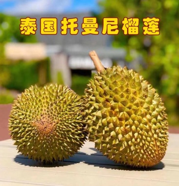 榴莲中的爱马仕托曼尼