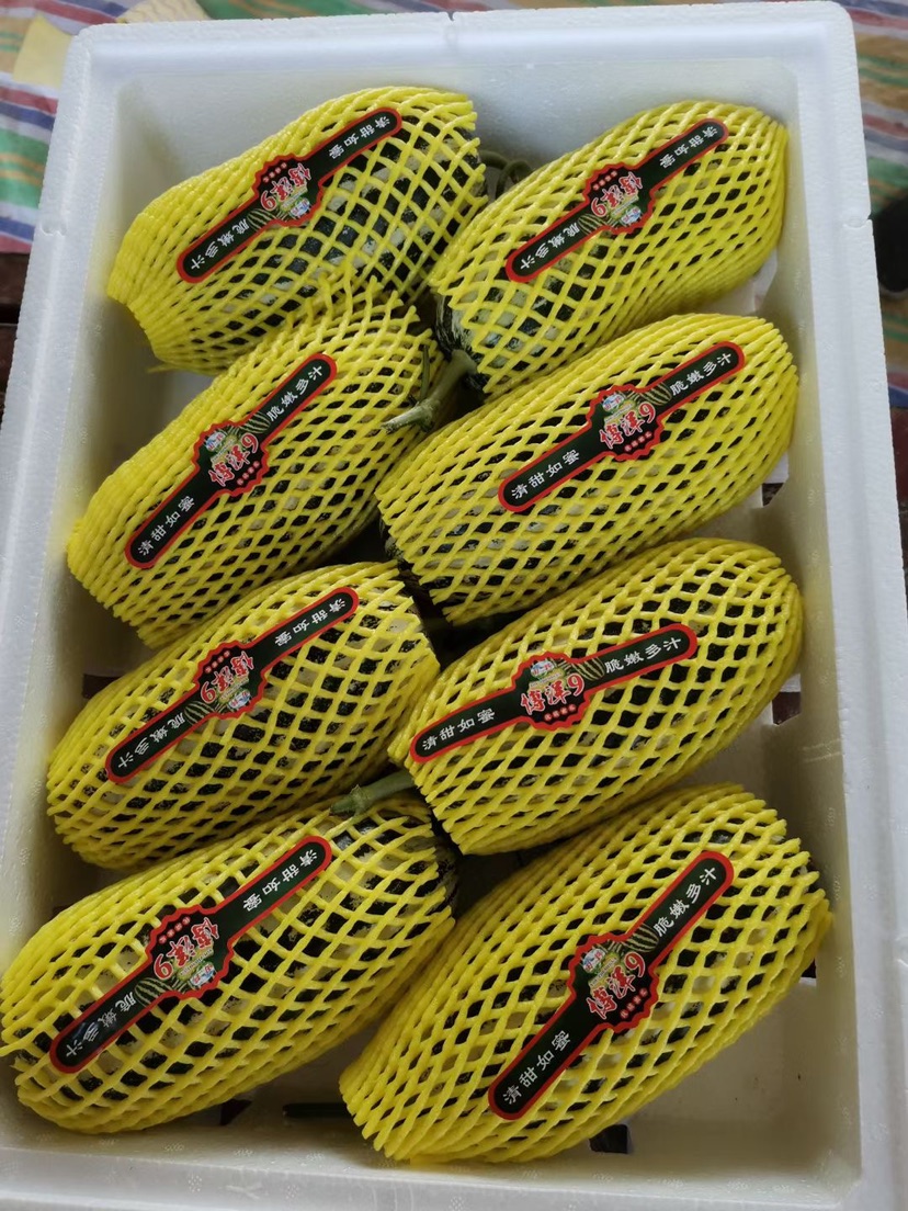 [橙子批发]湖北橙子叶橙大小均匀农户一手货源 产地批发价格0.