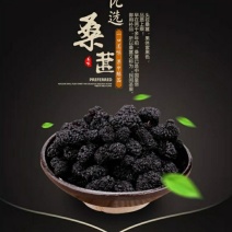 黑桑葚干食用级别量大从优欢迎选购