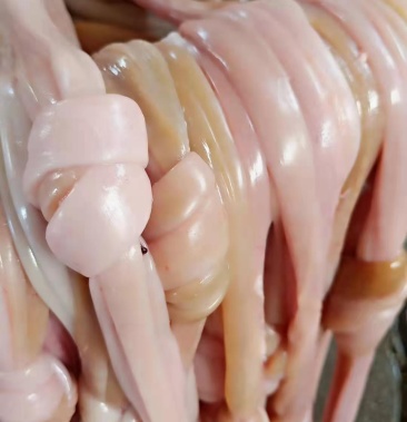 羊副产品新鲜屠宰场羊小肠 有大口径一般口径!需要的老板