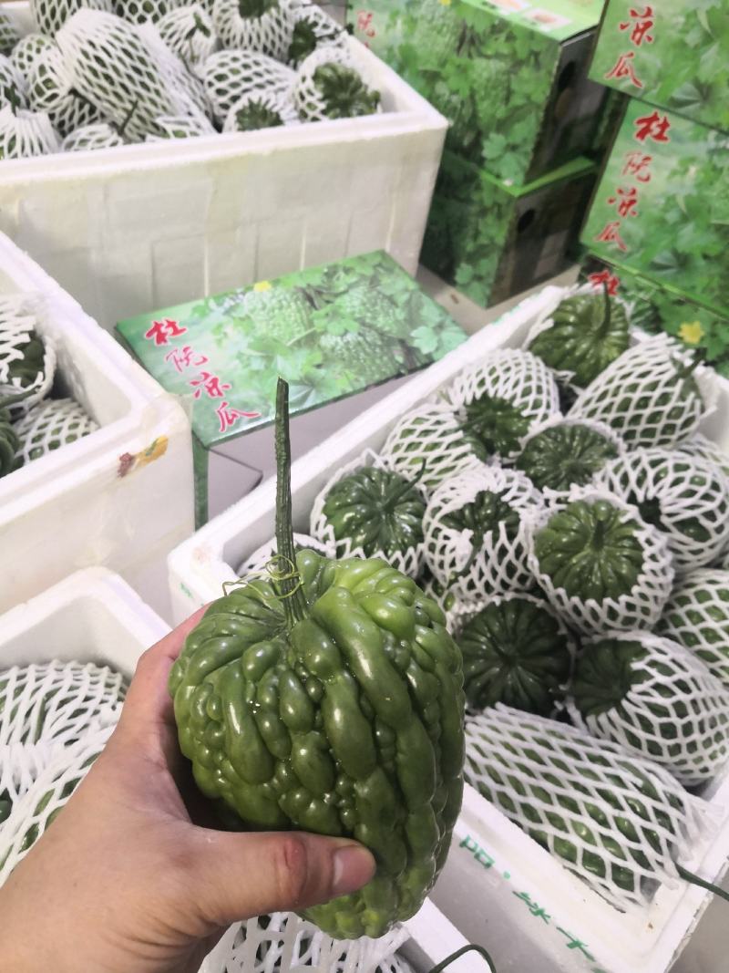 杜阮凉瓜雷公凿圆苦瓜大顶苦瓜老鼠尾