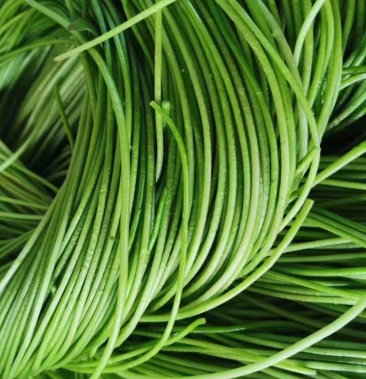 台湾野莲 水莲菜 基地直供