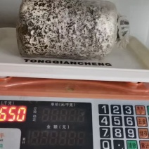 黑平菇菌包云南特产10元一个模式简单操作容易种植
