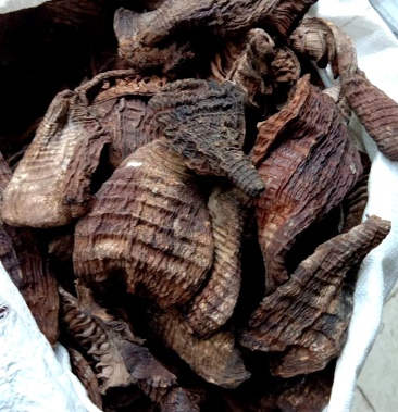 农家柴火笋干 烟笋 熏笋 优质烟笋 烟熏笋 笋尖