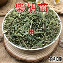 新鲜干货中药材柴胡柴胡苗散装包邮