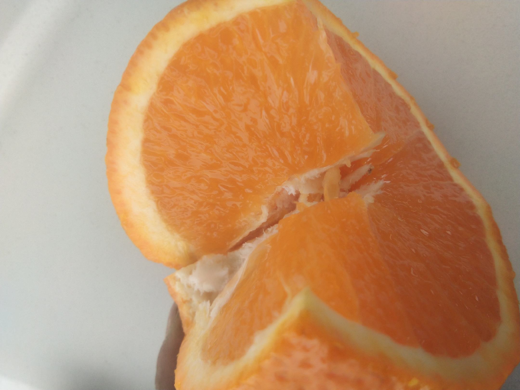 青见柑桔与沃柑外观对比