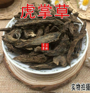 野生中药材虎掌草见风青狗脚迹包邮
