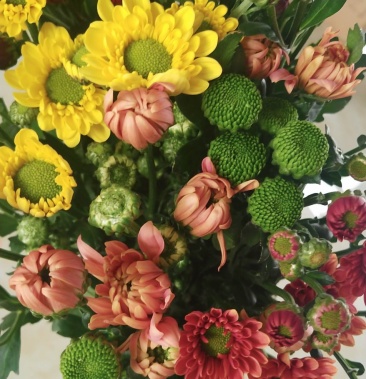 小雏菊,各色,配色,均可