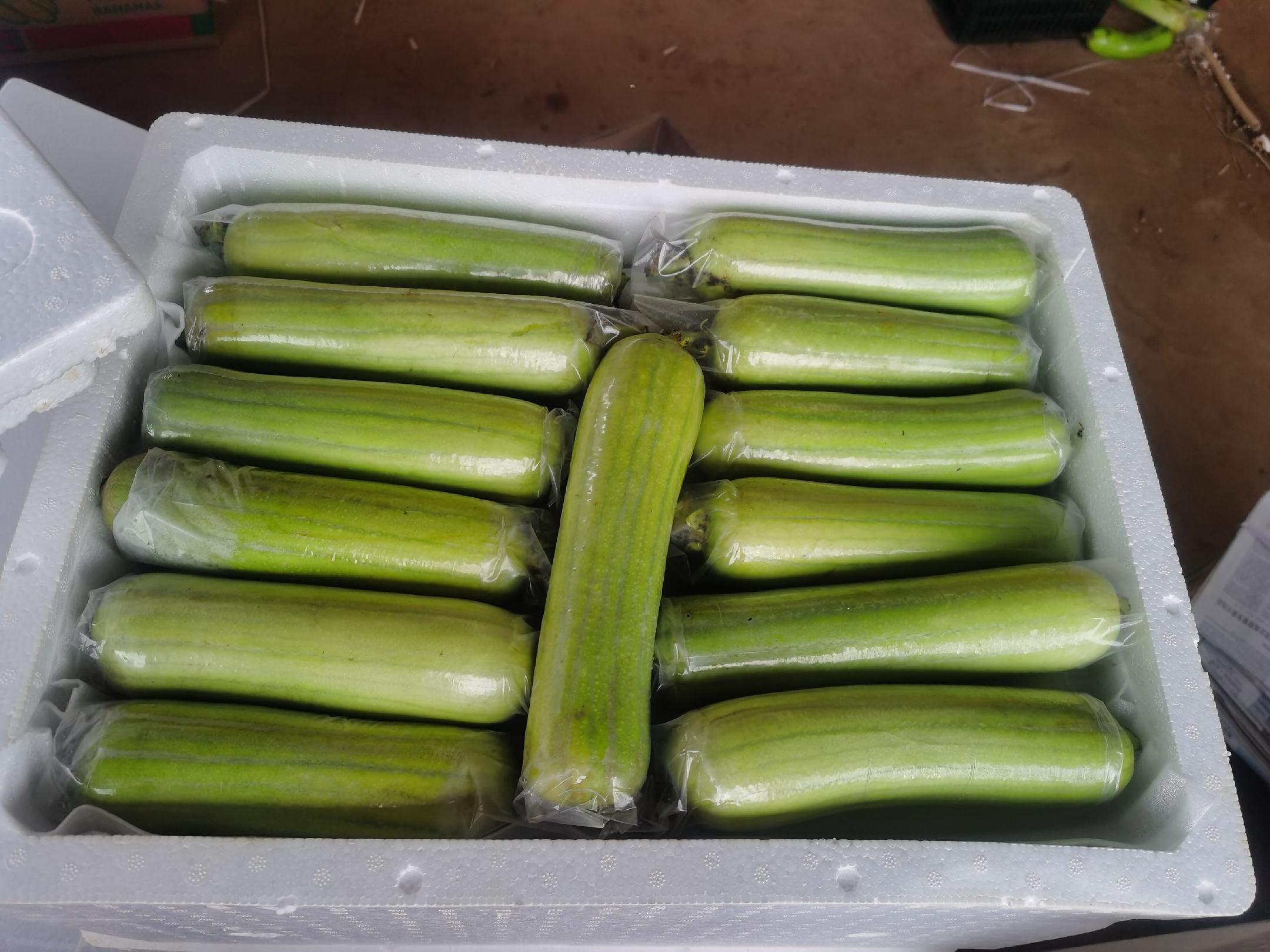 白玉丝瓜标准化分级包装流水线
