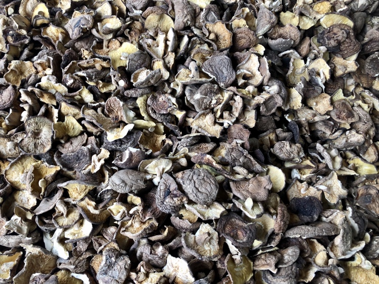 香菇热风干燥过程