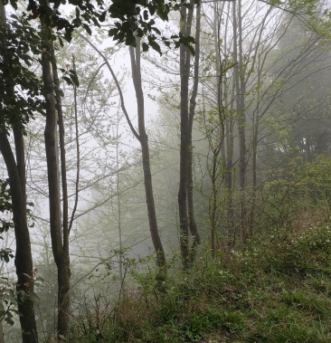 50元/斤 - 一亩田