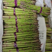 精品本地芦笋大量上市了，有需要的可以联系我
