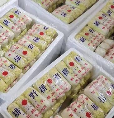 [娃娃菜批发]精品娃娃菜袋装3棵价格080元/棵 