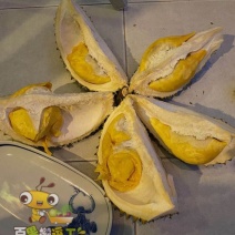 泰国榴莲混装玛雅+青蛙+山大530元,顺丰全国包邮