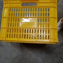 沃柑，水果周转筐