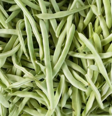 青芸豆逐量上市.现摘现卖. 蔬菜.