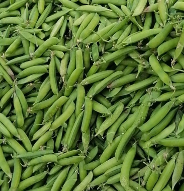 [豌豆荚批发]襄阳襄州白豌豆角价格1.30元/斤 - 一亩田