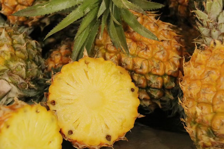 菠萝切开后散发酒味示意图 菠萝切开后散发酒味示意图