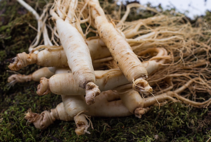 鲜林下参展示图