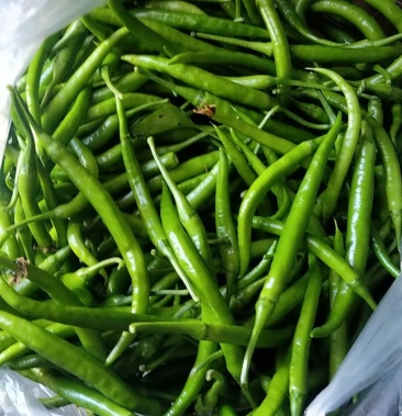 [杭椒批发]河北唐山不辣型杭椒!欢迎新老顾客前来订购!价格2.