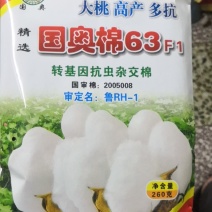 国奥棉63，转基因抗虫杂交棉