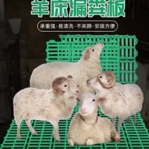 羊漏粪板食槽羊漏粪板水碗厂家直销