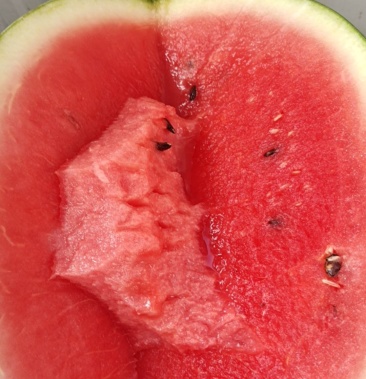 [甜王西瓜批发]缅甸甜王老越甜王价格1.20元/斤 - 一亩田