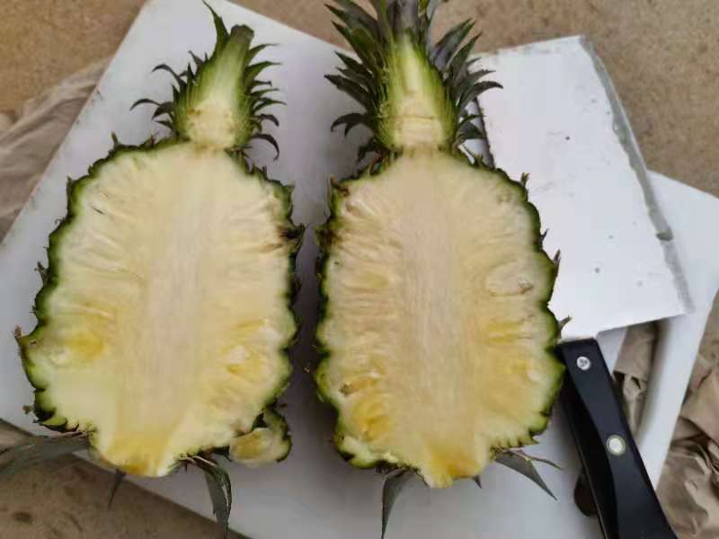 菠萝与凤梨切面展示图