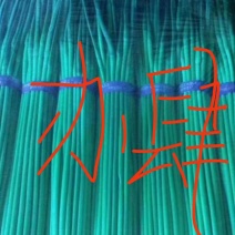 精品邳州小红帽已经大量上市，适合每个小市场精品邳州小红帽