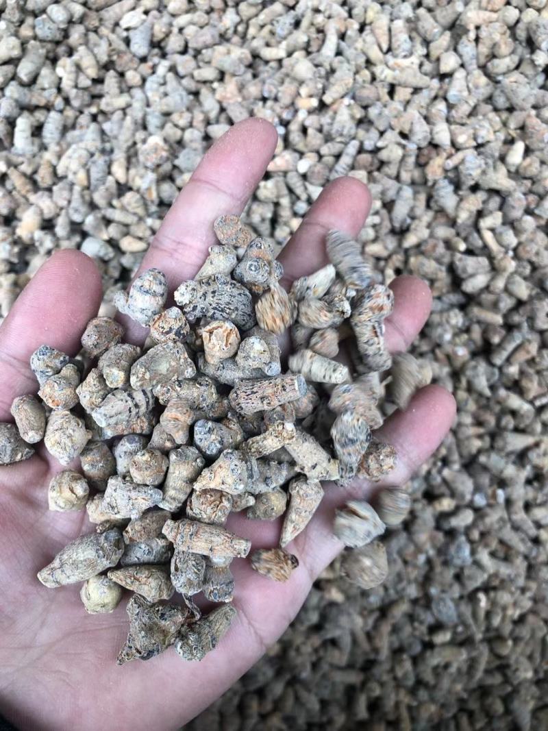 文山三七 小三七 150头 200头 三年三七 水洗足干