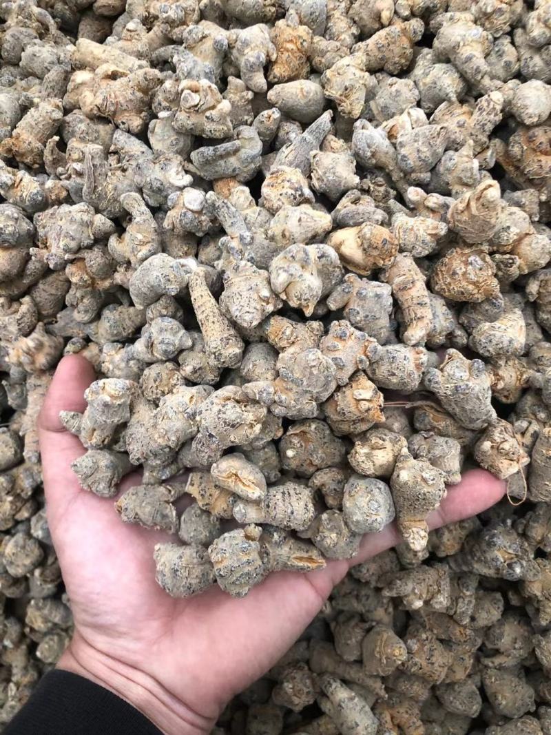 文山三七 小三七 150头 200头 三年三七 水洗足干