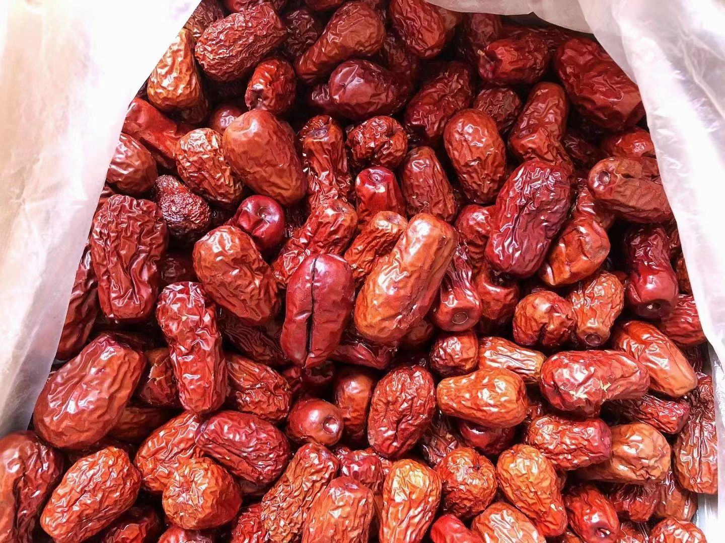 皮皮枣与普通枣子对比图