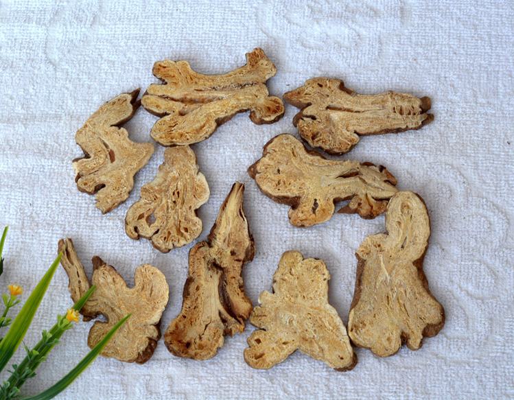 生白术片与炒白术片对比图,左边为生白术片,颜色偏白,右边为炒白术片,颜色偏黄,表面略带焦香痕迹 白术片对比图