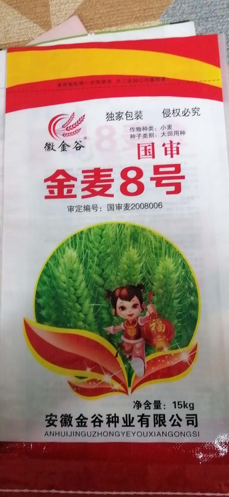 金麦8号小麦品种,高产小麦种子,矮杆大穗小麦品种,抗倒伏