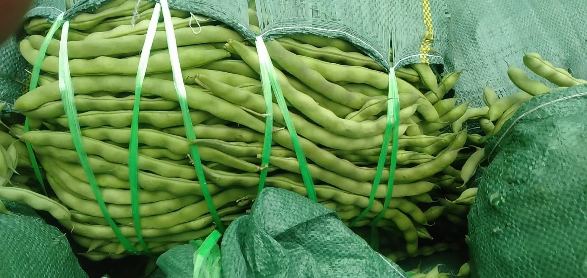 牛肉与毛豆原材料图