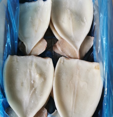 阿根廷单冻鱿鱼片7片装