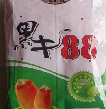 黑牛88玉米种子厂家直销种子中的宝马奔驰