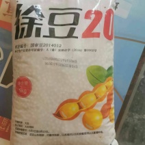 徐豆21.徐豆20大豆种子，高产抗倒伏抗病大豆种子。