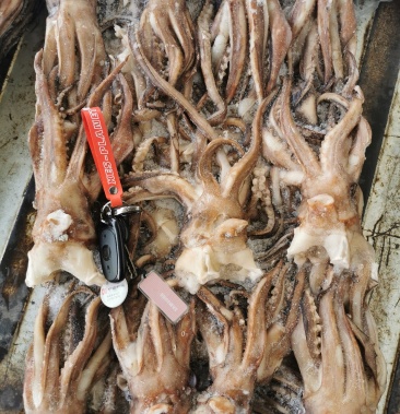 [鱿鱼头批发]北太鱿鱼头,纯干货,14公斤价格295.00元/件 - 一亩田