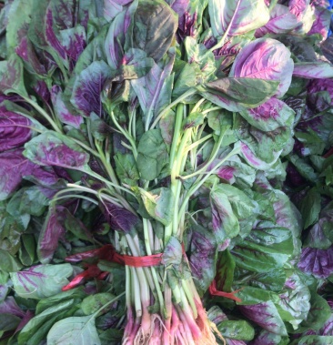 [苋菜批发]苋菜自家大棚种植大面积红苋菜,货源充足,可整车发货价格1.