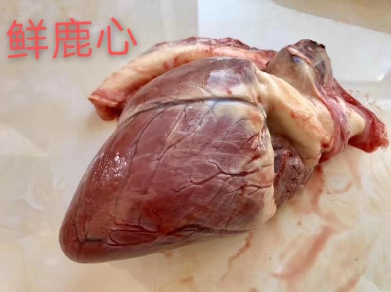 梅花鹿鹿心干鹿心鲜鹿心带鹿心血可食用入药正规经营假一赔十