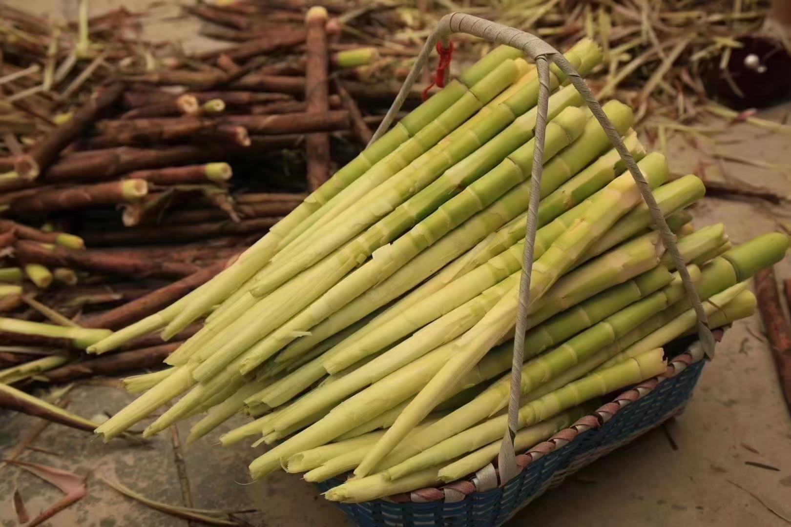 苦竹笋的加工产品
