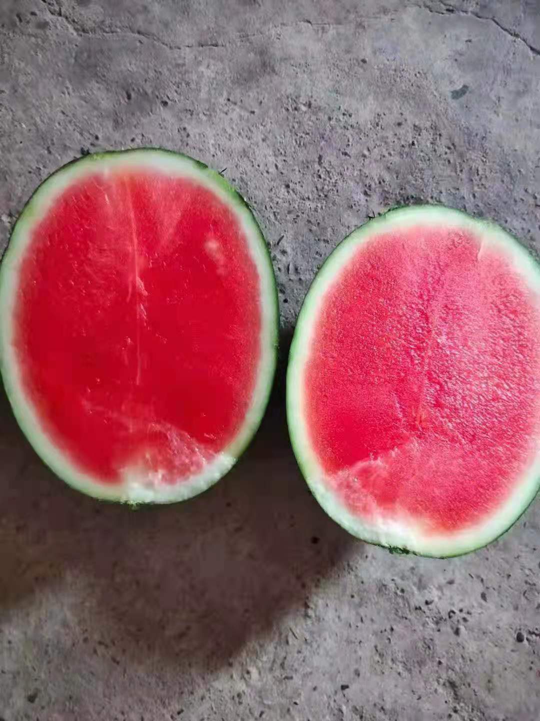 广西扶绥县黑美人西瓜大量上市