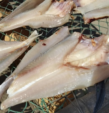 红头鱼片,红娘子鱼片