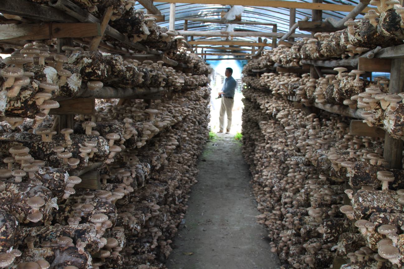 税务人员为企业讲解农产品税收政策