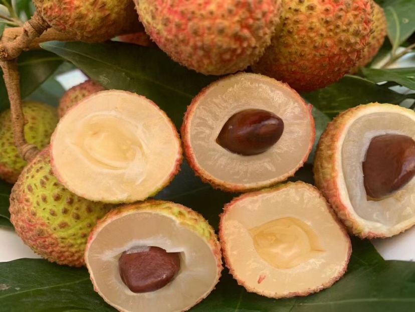 三月红荔枝果肉切面特写