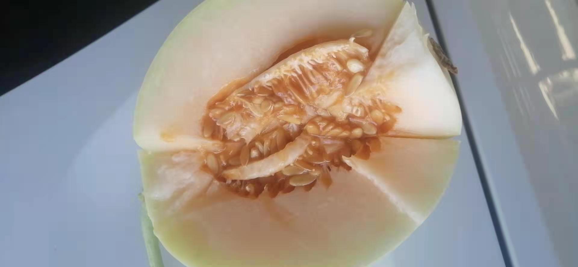 翠绿饱满的翠梨甜瓜整齐摆放在竹编果篮中，背景为阳光洒落的田园果园，瓜体表面有细密网纹，切开的果实露出洁白晶莹的果肉，旁边配有新鲜绿叶点缀