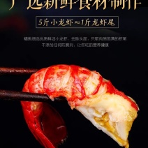龙虾尾冷冻新鲜特级龙虾尾生鲜麻辣虾球无冰衣