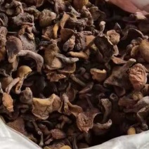 秋板松蘑价格便宜