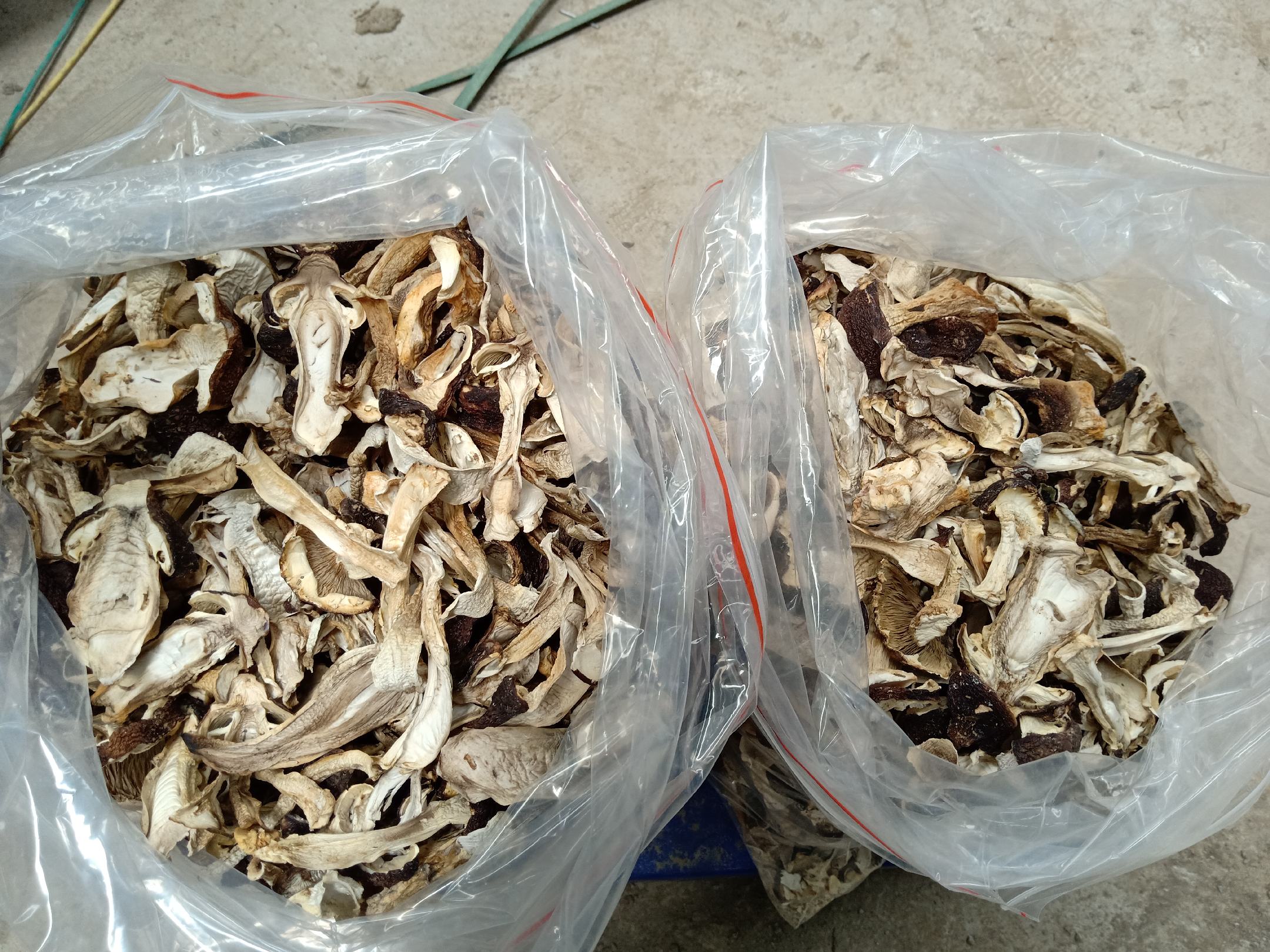 松茸鲜与鸡精外观对比图